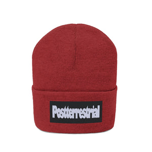 PT Beanie