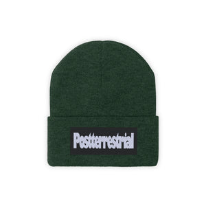 PT Beanie