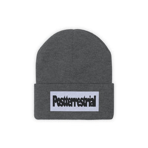 PT Beanie