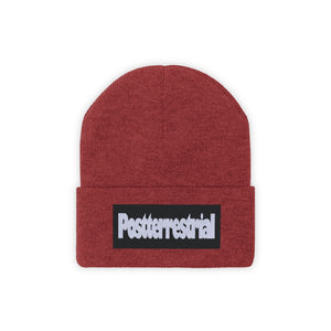 PT Beanie