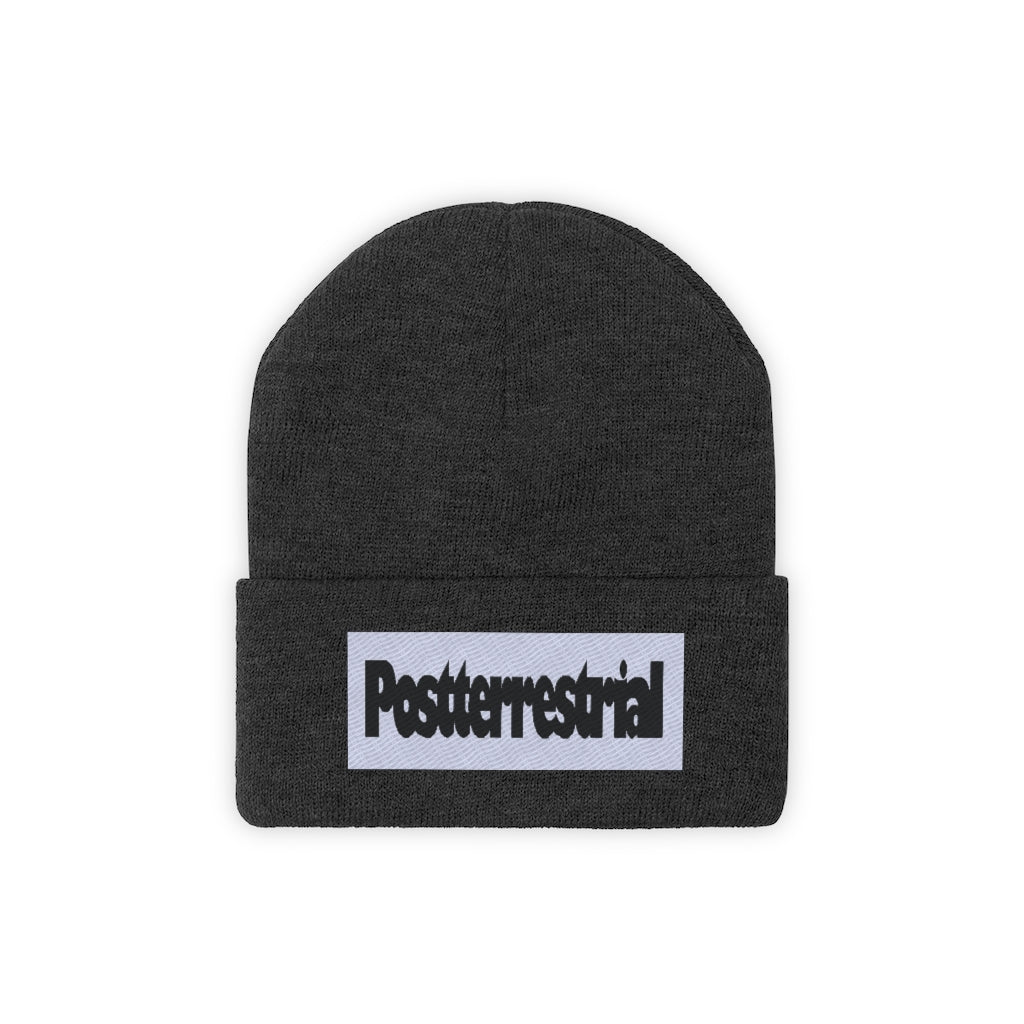 PT Beanie