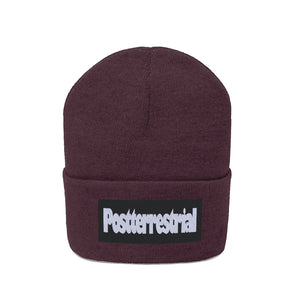 PT Beanie